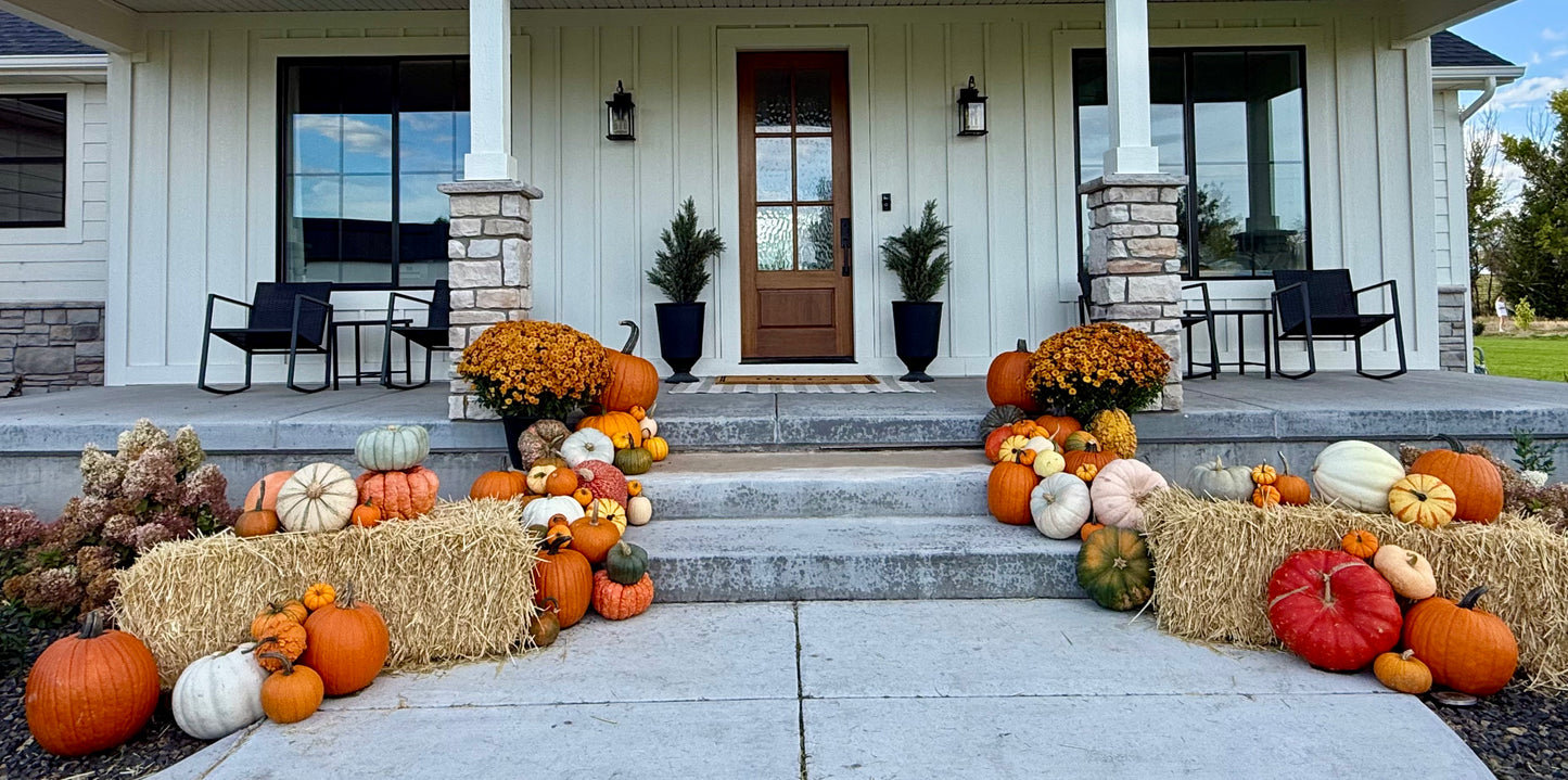 Mega Porch Pumpkin Setup (75+ Pumpkins)