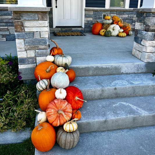 Small Porch Pumpkin Setup (25+ Pumpkins + Design Included)